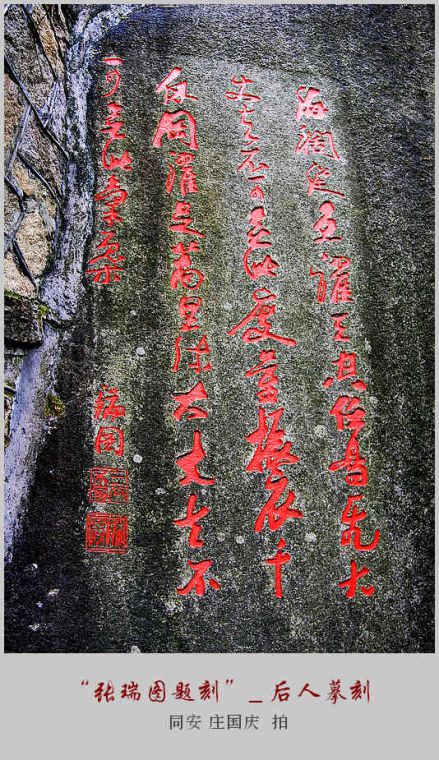 1 (19).jpg