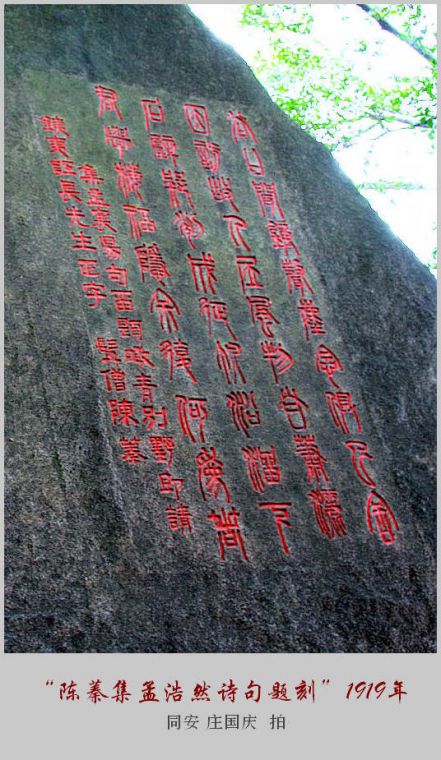 1 (20).jpg