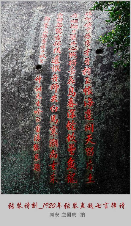 1 (25).jpg